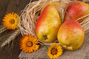 Canvas Print - pears closeup on jute burlap napkin