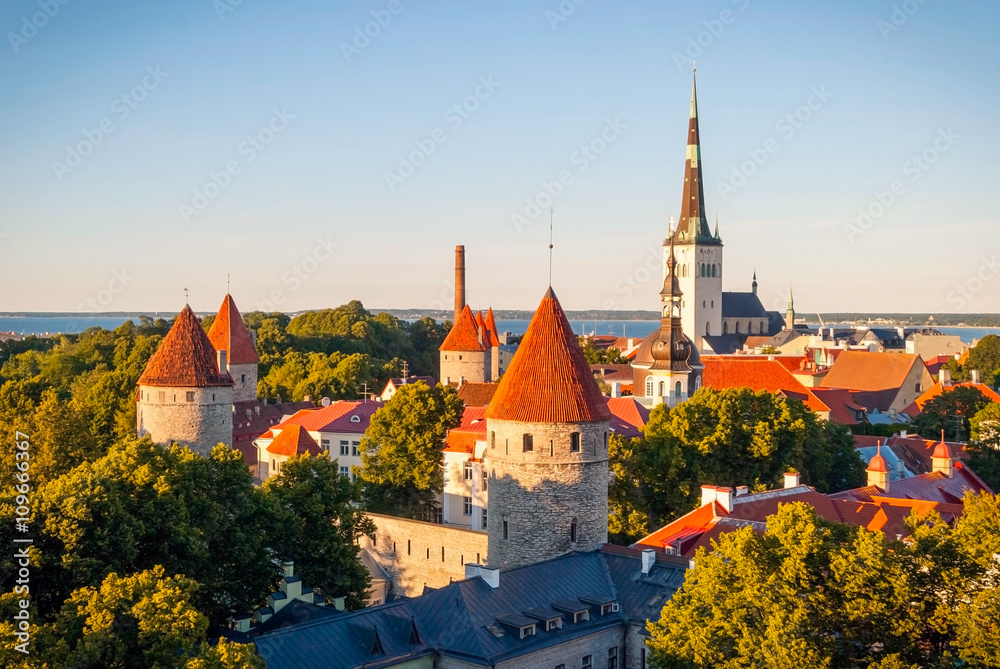 Obraz na płótnie Tallinn skyline, Estonia w salonie