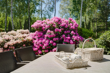 Wall Mural - Picnic basket on the table