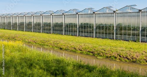 Fotografía Modern glasshouse in the Netherlands