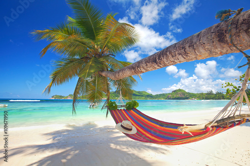 Fotografía Sommer am Strand, Hängematte una Palme einer, Seychellen