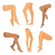 Vector collection of beauty legs isolated