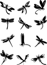 Set Of Different Types Of Dragonflies Isolated On White Background In Flat Style. Dragonflies, Black Silhouettes On White Background. Vector Illustration.