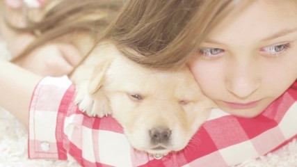 Poster - kid  and a Labrador puppy, close up