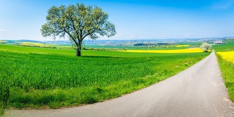 Wall Mural - Frühling