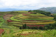Hongtudi Dongchuan, Yunnan China Amazing colorful land after raining. A paradise for photographer.