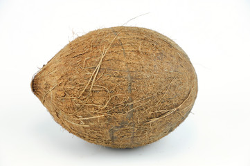 whole coconut on white background