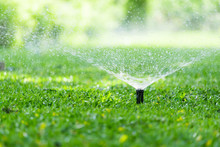 Automatic Garden Lawn Sprinkler In Action Watering Grass