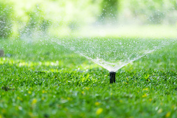 automatic garden lawn sprinkler in action watering grass