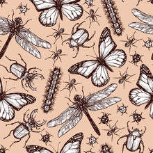Vintage Drawn Insect Seamless Pattern