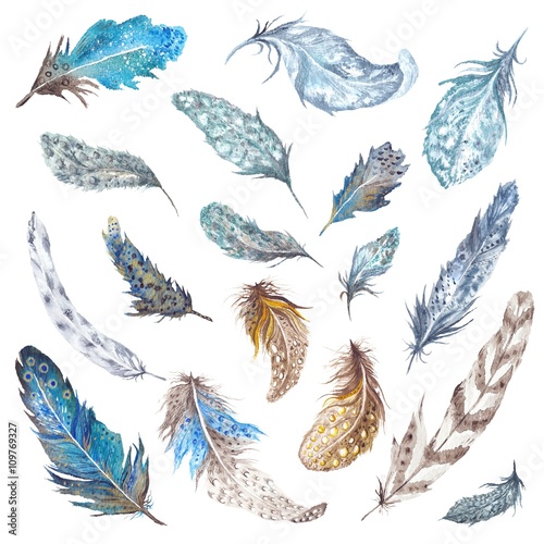 Papel de parede Watercolor Feathers Set