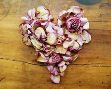 Heart Shape Made From Pink Rose Petals