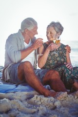 Wall Mural - Senior couple having a picnic