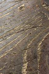 Macro shoot of small  part of   grunge bench seat 1