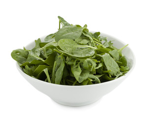 wet green spinach leaves