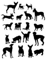 Canvas Print - Dog Pet Silhouettes, art vector design