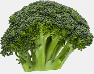 Canvas Print - fresh green broccoli