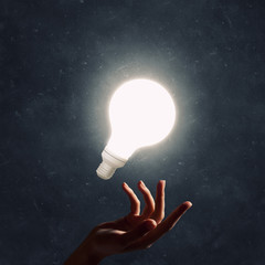 Wall Mural - hand pointing light bulb