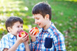 © sakkmesterke - Happy little brothers eating apple
