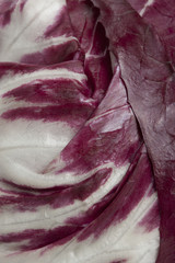 Wall Mural - close up radicchio