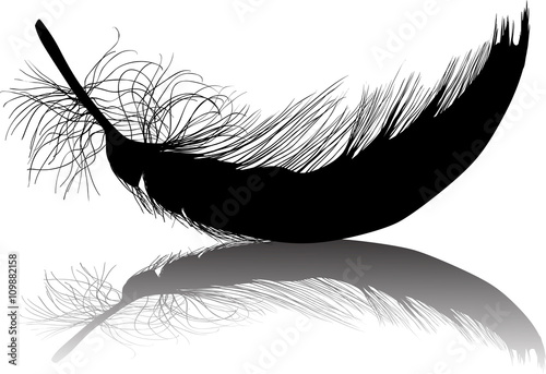 Download small feather curved black silhouette with shadow - Buy ...