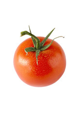 Poster - moist tomato