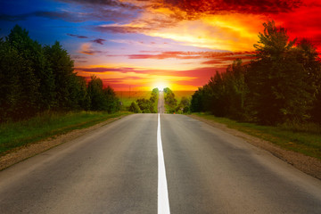 road between trees and beautiful sunset