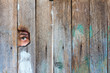 the eyes of a man spying through a hole in an old wooden fence. with space for posting information