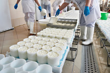 Filling Molds For Production Of Soft Cheese