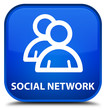 © FR Design - Social network (group icon) blue square button