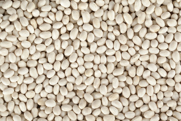 Poster - close up image of heap white beans