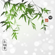 Green bamboo on on white glowing background. Contains hieroglyphs - eternity, freedom, happiness