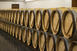 Row of wine barrels in winery