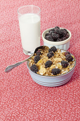 Wall Mural - breakfast of cereal and blackberry fruits