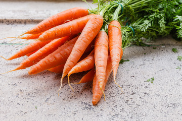 Wall Mural - fresh carrots