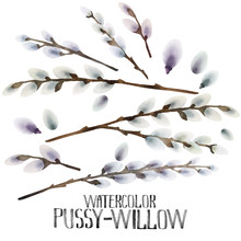 Watercolor Pussy-willow Set