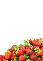 Wall Mural - fresh ripe strawberries