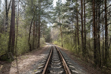 Old Rail Road In Green Forest Summer