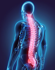 3d illustration of spine, medical concept.
