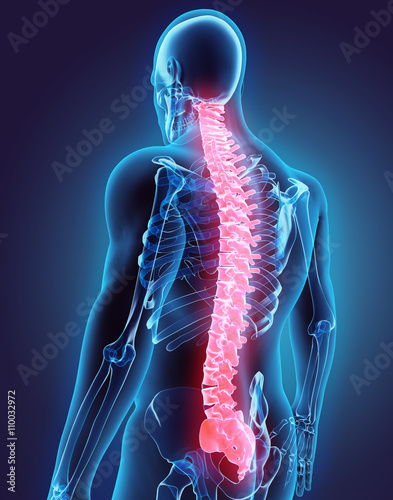 Cuadros en Lienzo 3D illustration of Spine, medical concept.