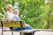 Elderly couple resting on a bench in the park 