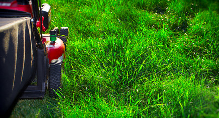 Wall Mural - Lawn mower.