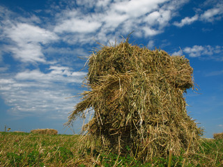 Poster - Hay bale in the countryside