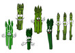 Cartoon bundles of green asparagus vegetables