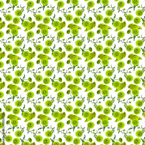 original rare green chrysanthemum repeating seamless pattern