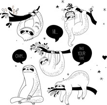 Cute Hand Drawn Sloths Illustrations, Funny Vector Design