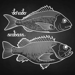 Wall Mural - Graphic fish collection