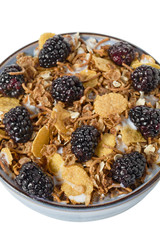 Wall Mural - blackberry fruit and cereal in bowl