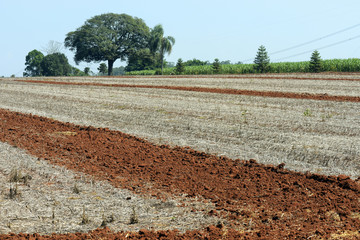 Agricultural land at rest waiting to be plowed