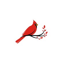 Cardinal Logo Vector